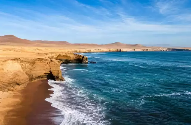 Réserve nationale de Paracas