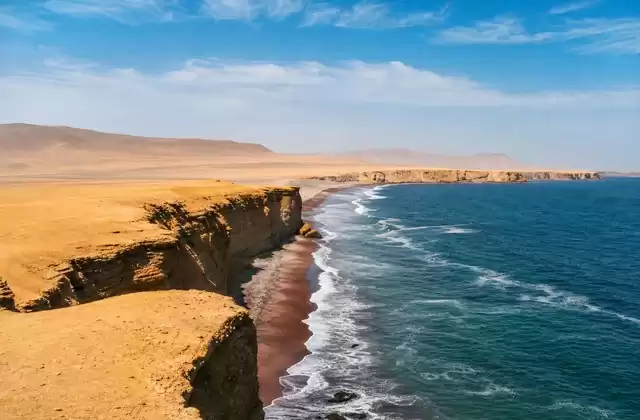 Réserve nationale de Paracas