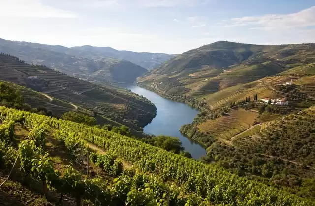 Vallée du Douro