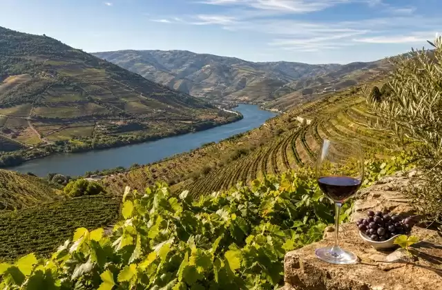 Vallée du Douro