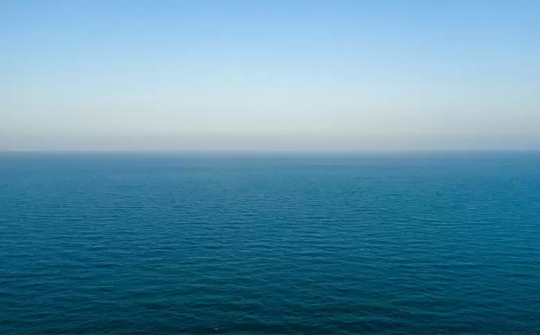 Caleta Tagus - Isabela Island